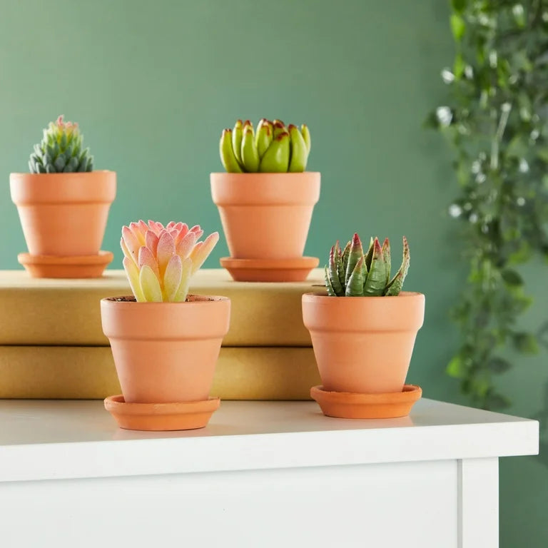 Pots & More!