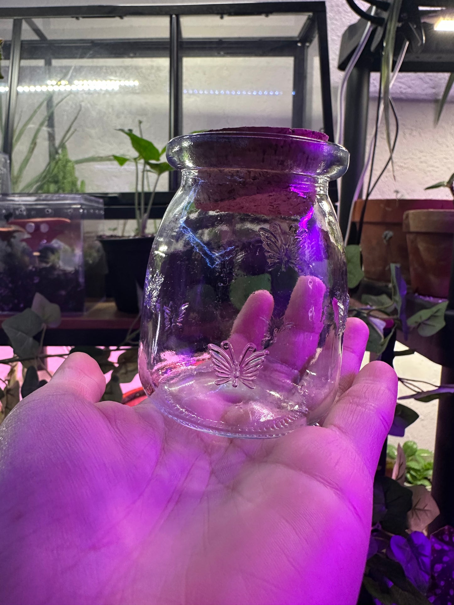 Mini Terrarium